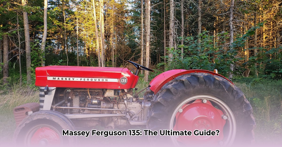 tractor-massey-ferguson-135